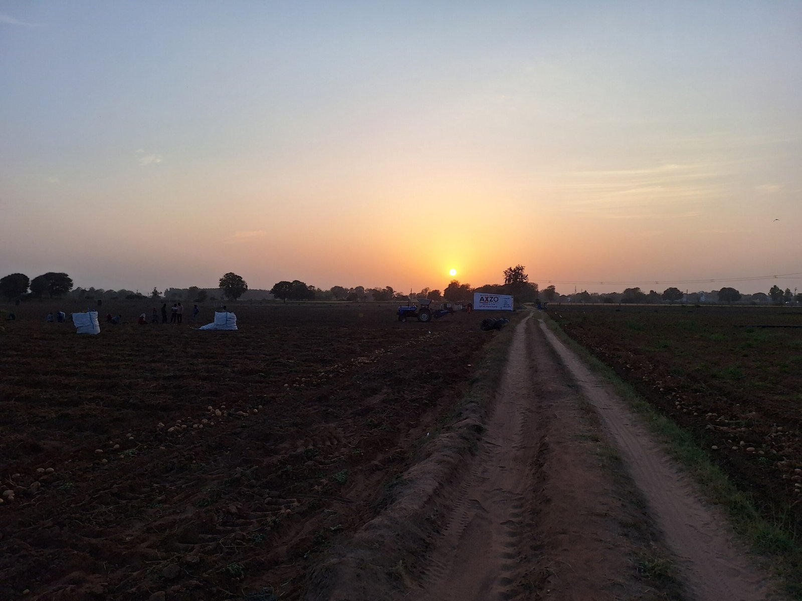 bio version agri sevices