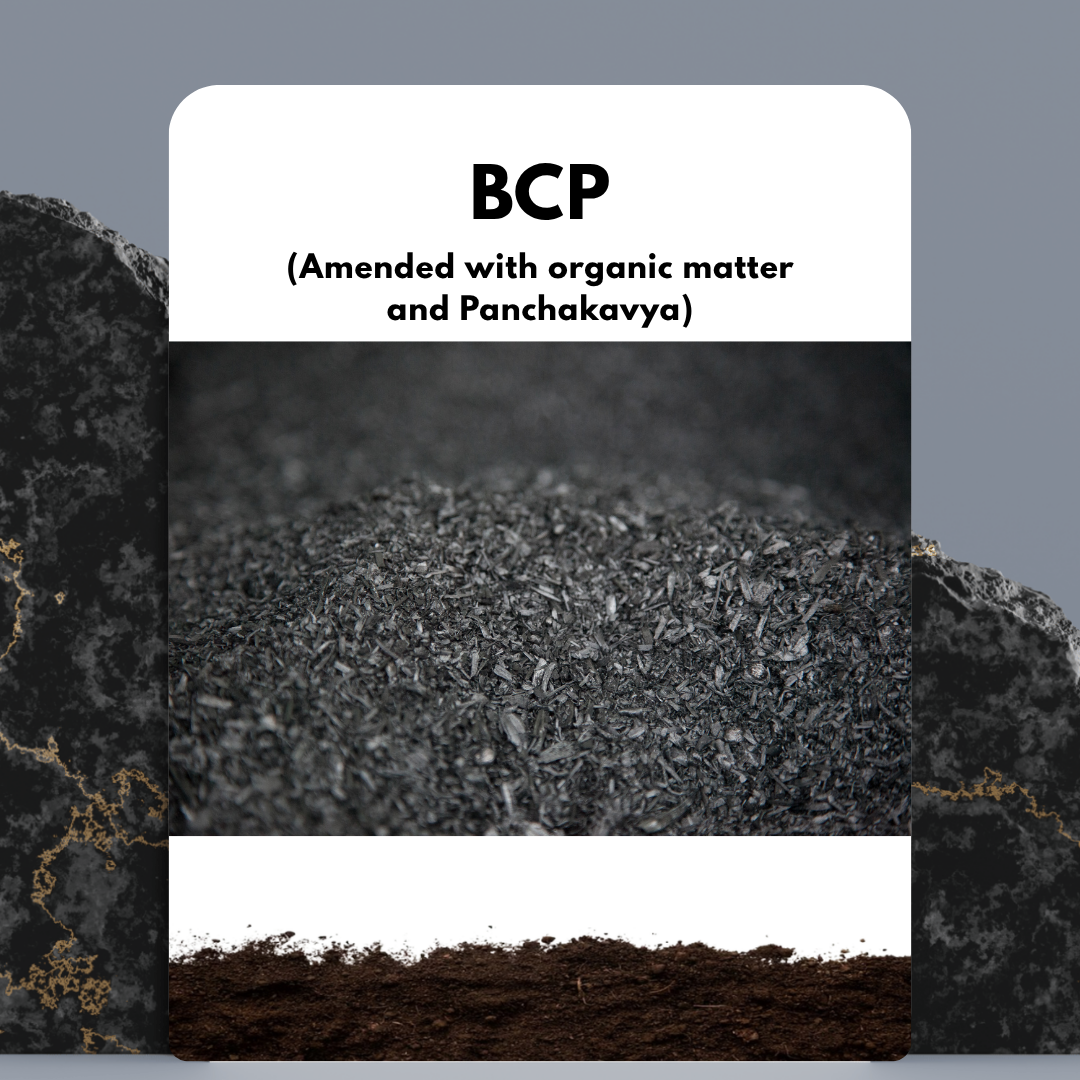 BCP Fertilizer