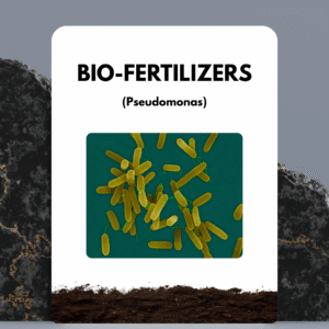 Pseudomonas Fertilizer
