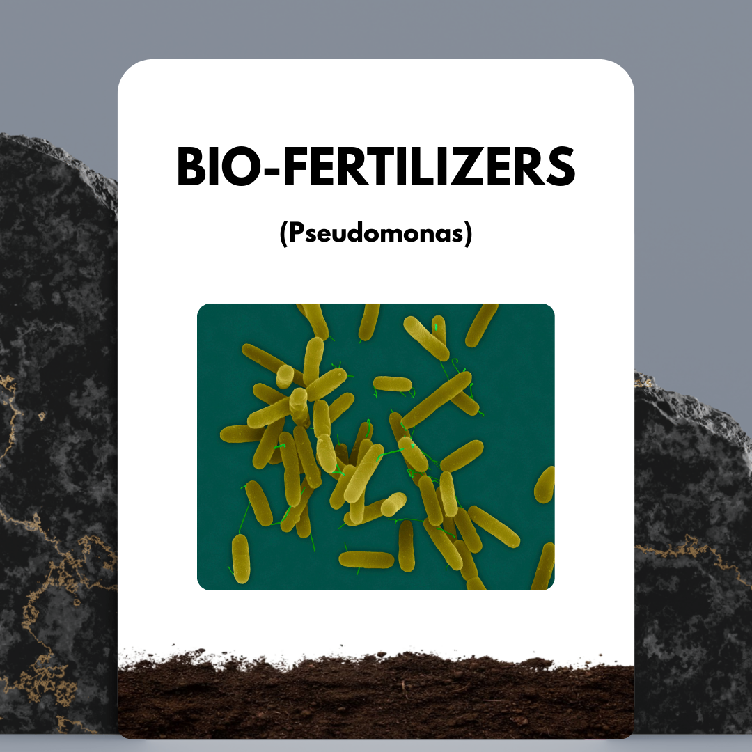 Pseudomonas Fertilizer
