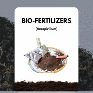 Azospirillum Fertilizer