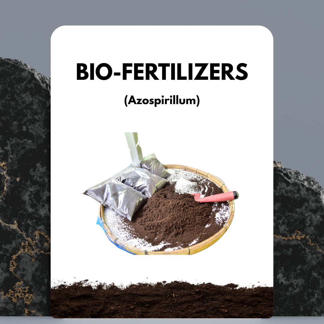 Azospirillum Fertilizer