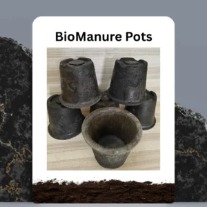 BioManure Pots