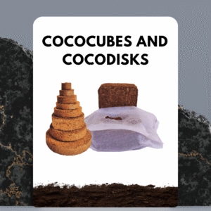 Coco cubes/Coco disc.