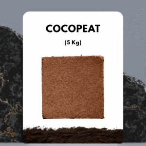 Cocopeat 5 kg block