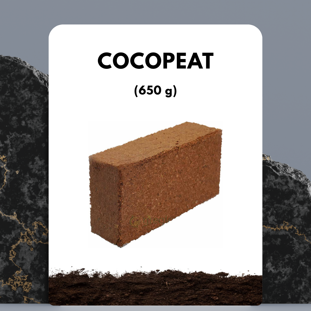 Cocopeat 650g bricks