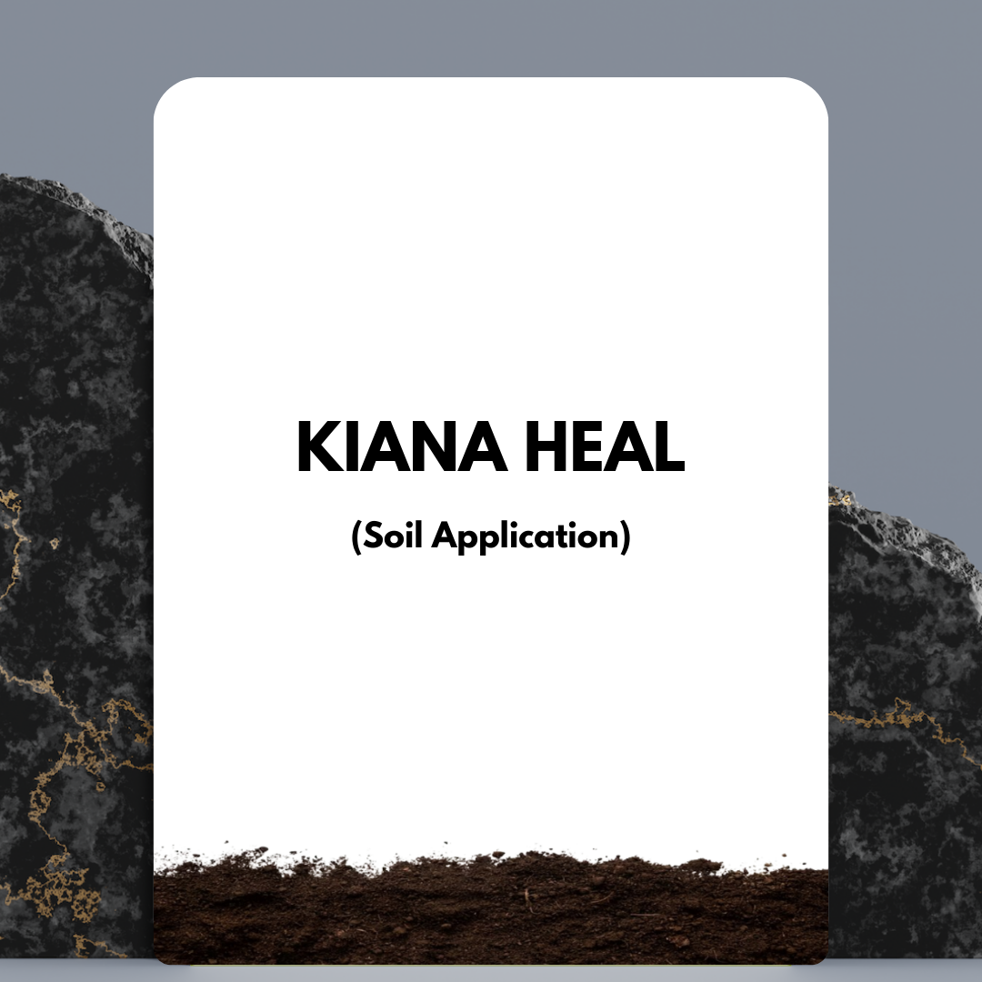 KIANA HEAL