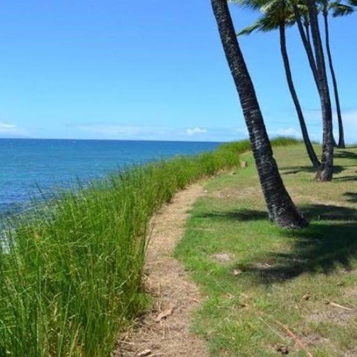 Control of Costal Soil Erosion