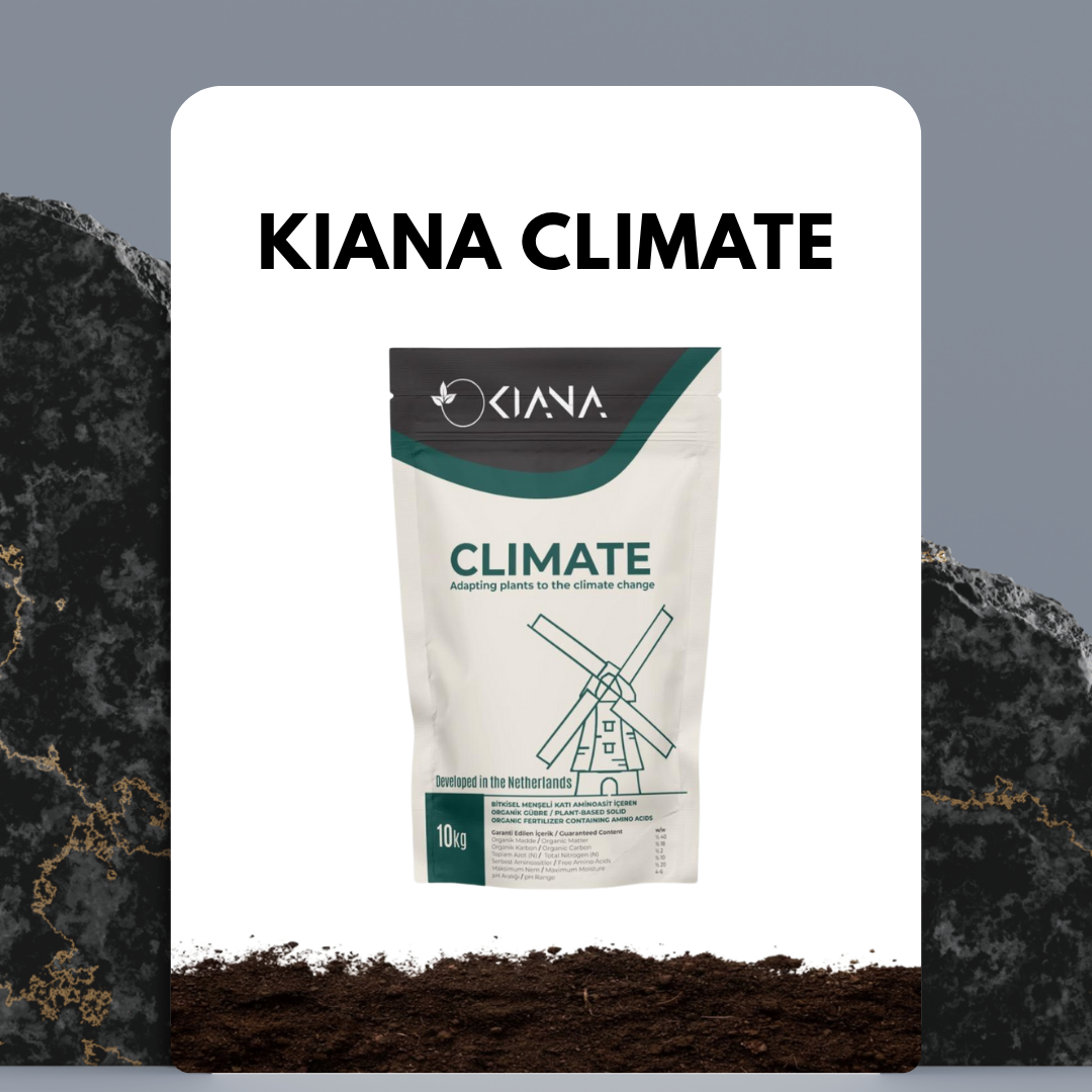 Kiana Climate